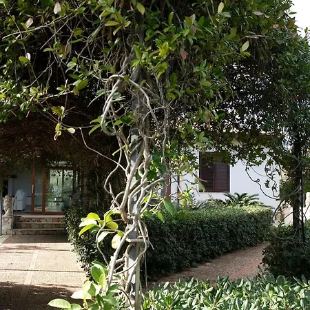 Villa Villa Dammusello *