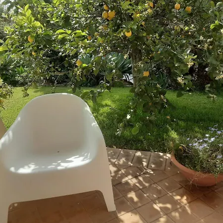 Dammusello Marsala