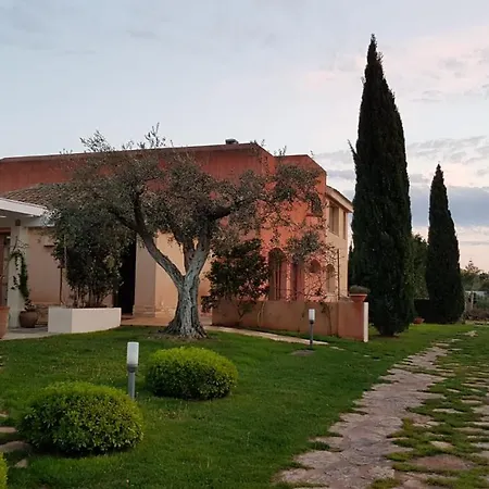 Dammusello *