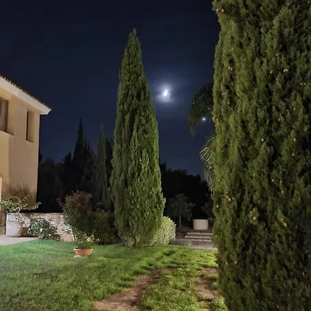 Dammusello