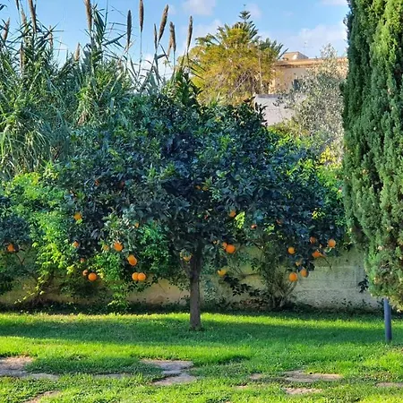 Dammusello Marsala