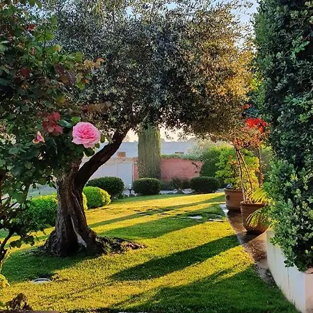 Dammusello * Marsala